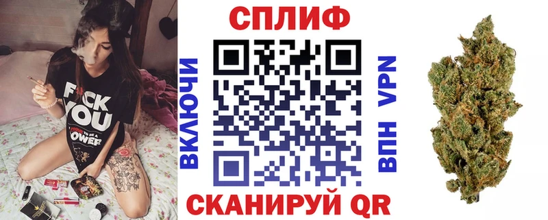 Магазины продажи наркотиков Петухово Alpha PVP  Марихуана  Кокаин  Меф  ГАШИШ 