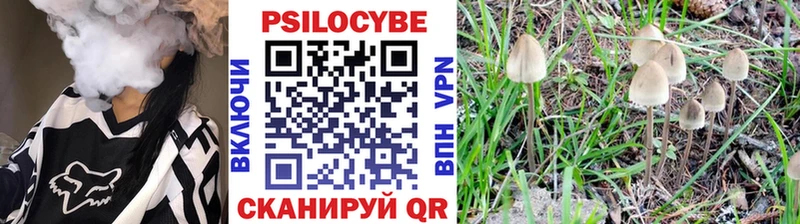 где можно купить   Петухово  Галлюциногенные грибы Cubensis 